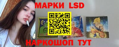 гидропоника Пугачёв