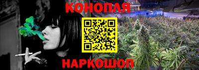 гидропоника Пугачёв