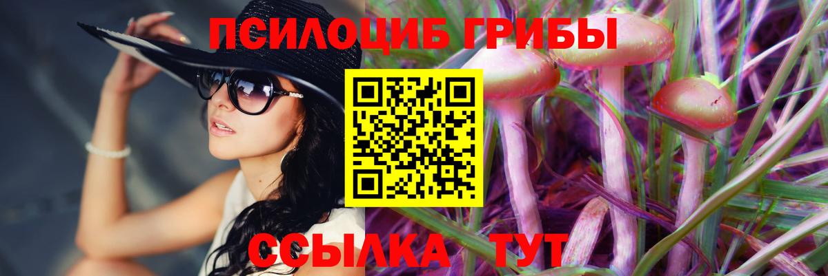 Галлюциногенные грибы GOLDEN TEACHER Рязань